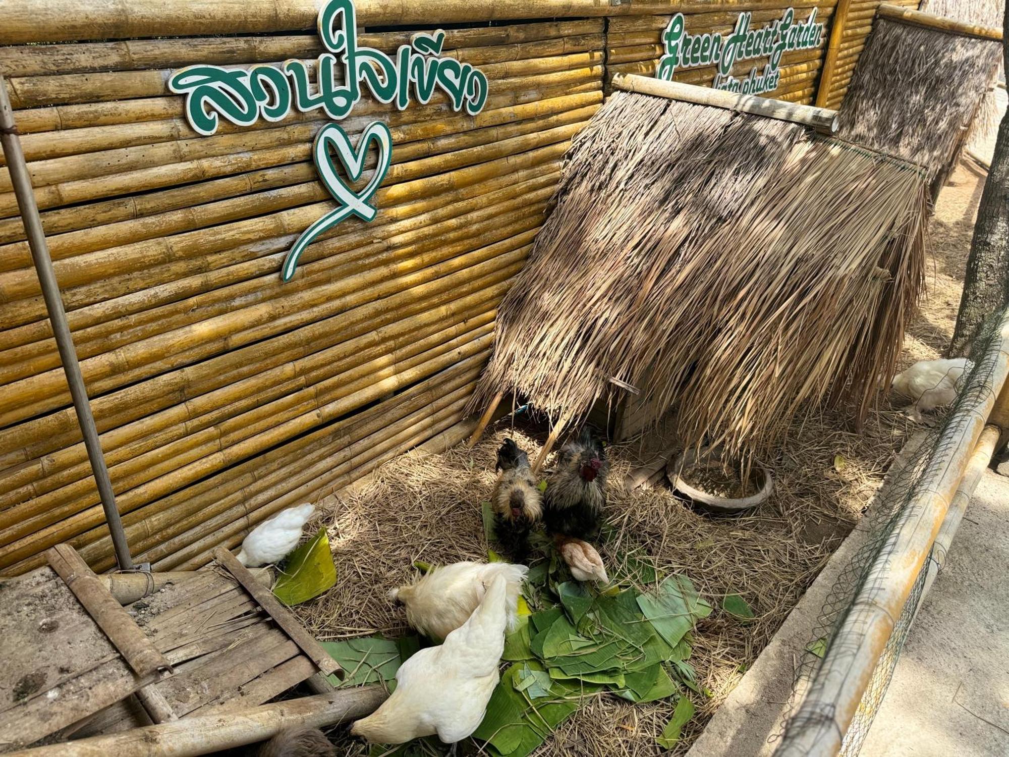 קטה ביץ' Greenheart Garden View Camp Phuket מראה חיצוני תמונה